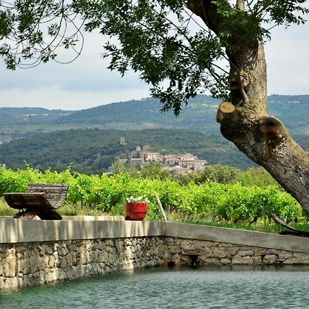 Chateau La Villatade Salleles-Cabardes Экстерьер фото