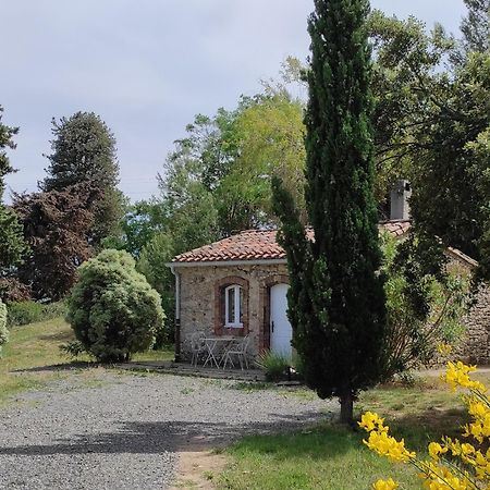 Chateau La Villatade Salleles-Cabardes Экстерьер фото